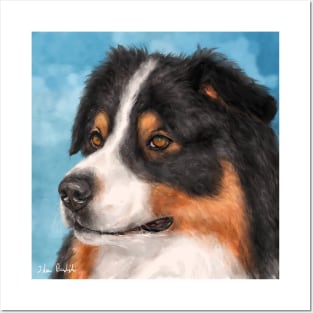 Painting of a Gorgeous Australian Shepherd Posters and Art